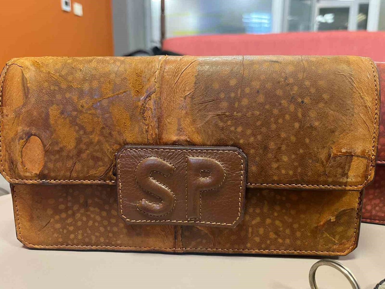 ALANYA’DA BİR ŞİRKETTE MÜDÜR OLARAK GÖREV YAPAN MEHMET ÖZATA, BALON BALIĞINA OLAN İLGİSİNİN TİCARİ...