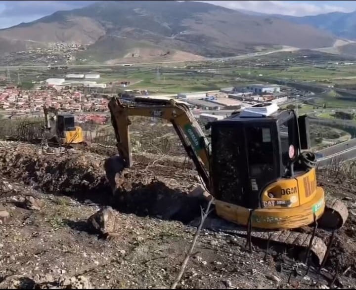 ALİAĞA VE FOÇA’DAKİ YANAN ORMAN ALANLARI YENİDEN YEŞİLE KAVUŞUYOR