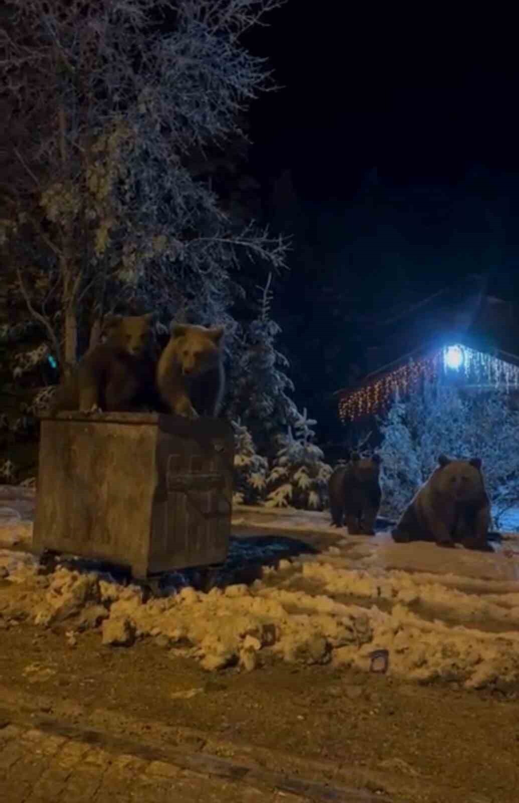 ANNE VE YAVRU AYILAR BÖYLE GÖRÜNTÜLENDİ.