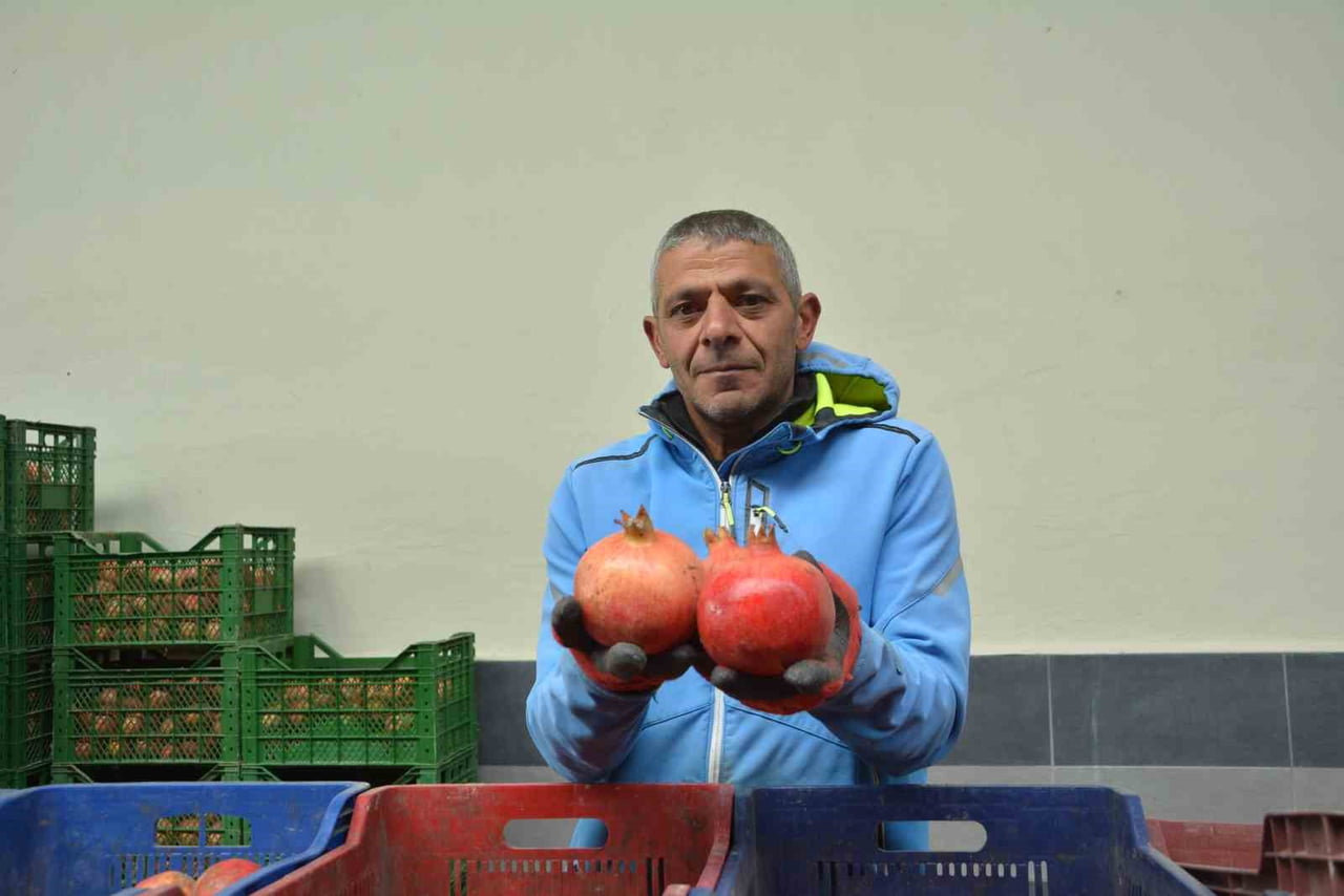 ANTALYA İLE ÇEVRE İLÇELERDE YETİŞTİRİLEN VE KORKUTELİ'NDEKİ SOĞUK HAVA DEPOLARINDA TOPLANAN NARIN...