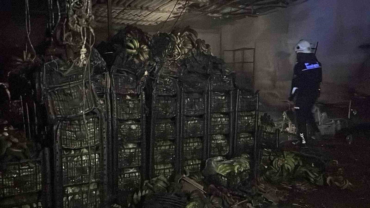 ANTALYA’NIN ALANYA İLÇESİNDE BULUNAN DEMİRTAŞ SEBZE VE MEYVE HALİ’NDE MUZ SARARTMA DEPOSUNDA ÇIKAN...