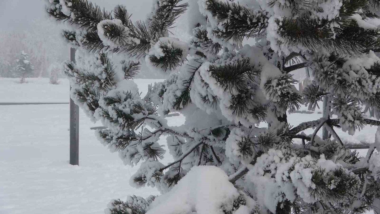 ARDAHAN'DA ETKİLİ OLAN SOĞUK HAVA VE SİS GÜNLÜK YAŞAMI OLUMSUZ ETKİLİYOR.