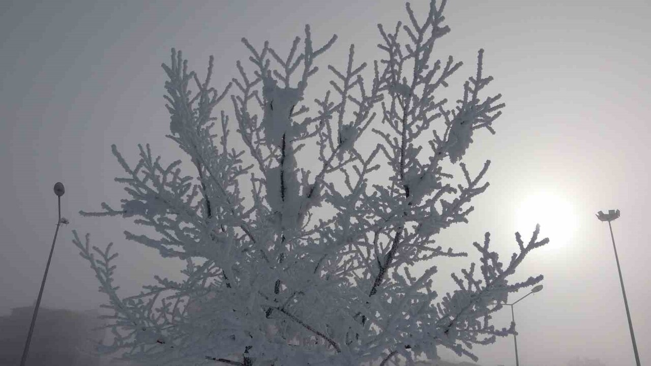 ARDAHAN'DA ETKİLİ OLAN SOĞUK HAVA VE SİS GÜNLÜK YAŞAMI OLUMSUZ ETKİLİYOR.