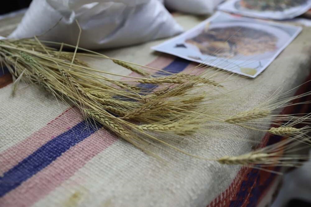 ARDAHAN ÜNİVERSİTESİ DÜNYA TOPRAK GÜNÜ KAPSAMINDA ’’BUĞDAYIN ATASI ARDAHAN KAVILCASI ETKİNLİĞİ-2’’...