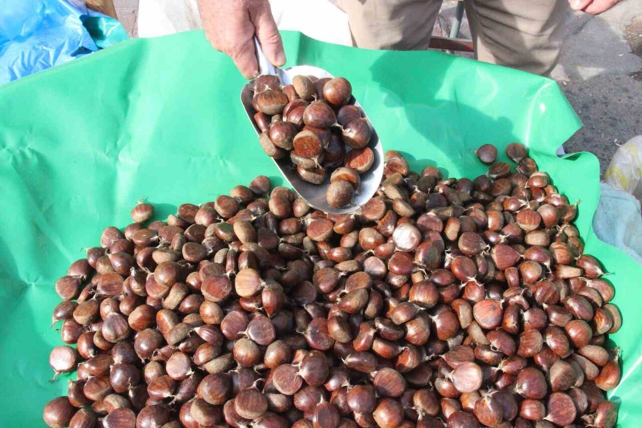 AYDIN'DA KESTANE HASADININ ARDINDAN ÜRETİCİLER TOPLADIKLARI ÜRÜNLERİ İLÇE PAZARLARINDA TÜKETİCİYLE...