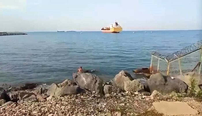 BALIKÇI AĞLARINA TAKILAN ANGUSU VATANDAŞLARIN KURTARDIĞI ANLAR KAMERAYA YANSIDI.