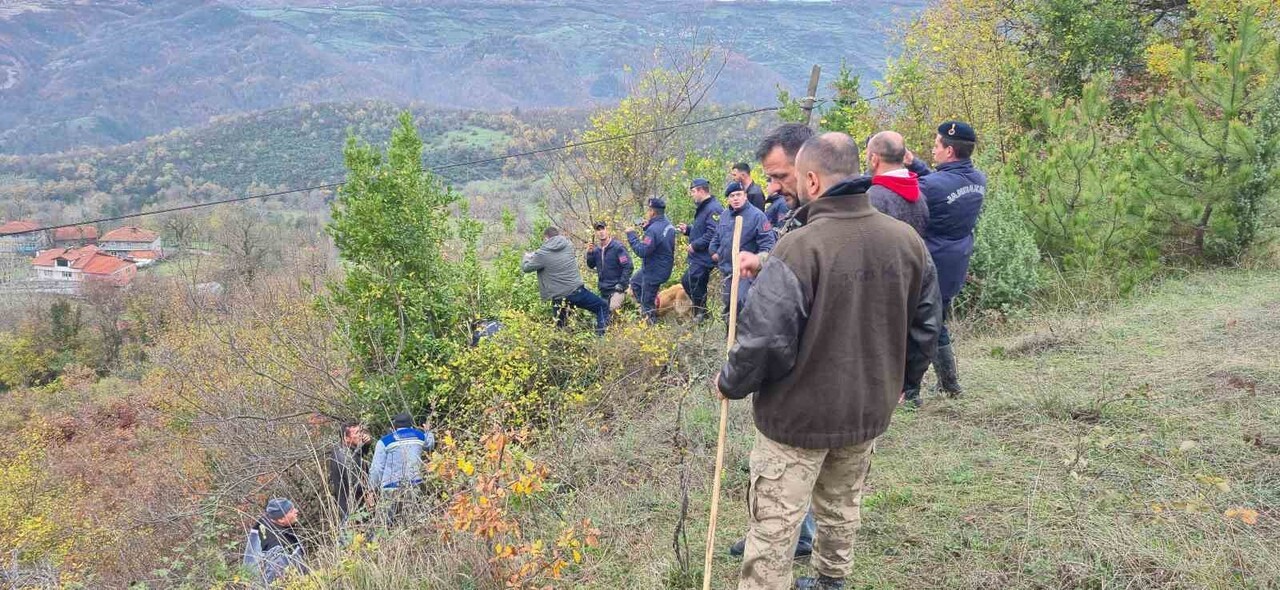 BARTIN'DA DEFNE TOPLAMAK İÇİN GİTTİĞİ ORMANDA KAYBOLAN 78 YAŞINDAKİ KADIN EVİNE YAKLAŞIK 3...