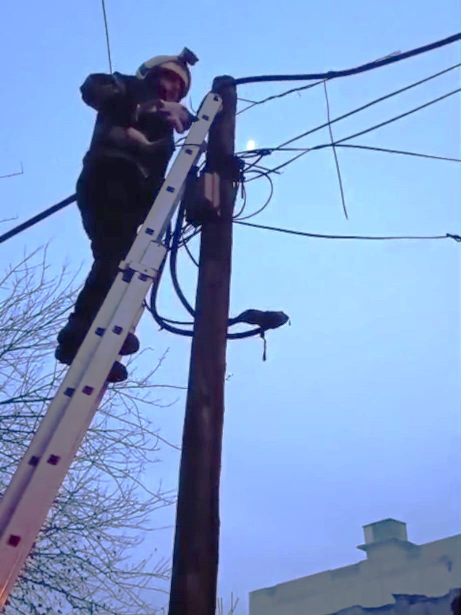 BATMAN’DA DİREKTE MAHSUR KALAN KEDİ İTFAİYE TARAFINDAN İNDİRİLDİ