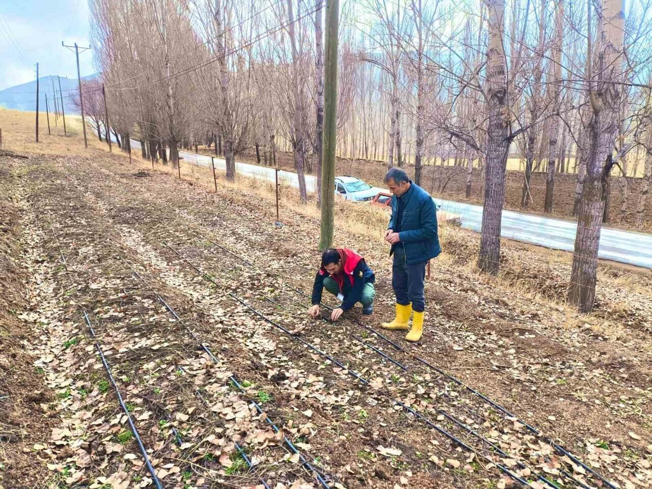 BAYBURT’TA SALEP ÜRETİM ALANLARI YERİNDE İNCELENDİ