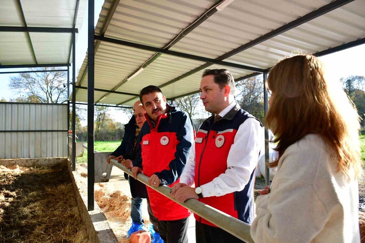 BİGA İLÇESİNDE SAĞLIKLI VE KALİTELİ HAYVANSAL ÜRETİM YAPAN ÜRETİCİYE BİGA KAYMAKAMI ERCAN KAYABAŞI...