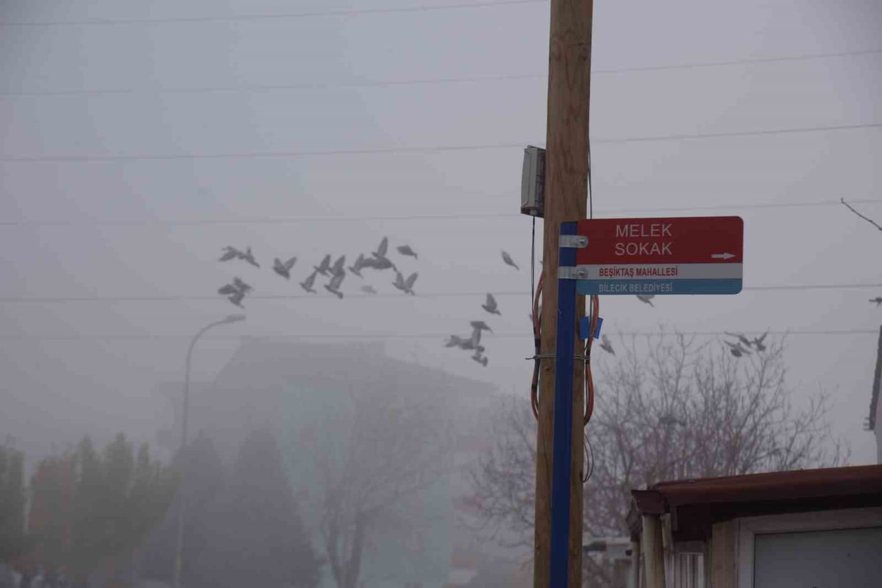 BİLECİK'TE CADDE VE SOKAK İSİMLERİNİN OLDUĞU TABELALAR YENİLENİYOR