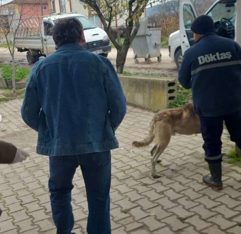 BİLECİK’TE EVCİL HAYVANLAR KAYIT ALTINA ALINIYOR