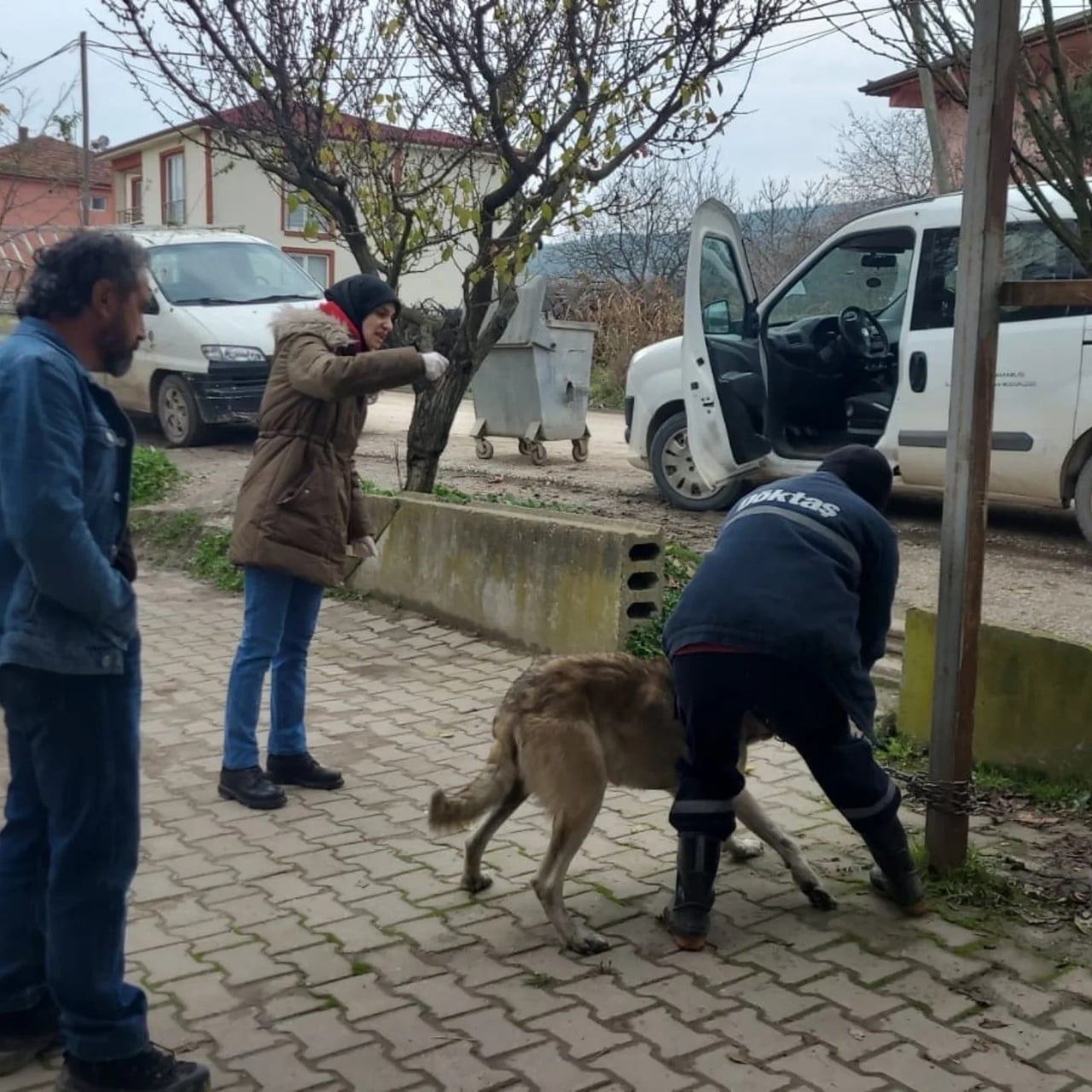 BİLECİK’TE EVCİL HAYVANLAR KAYIT ALTINA ALINIYOR