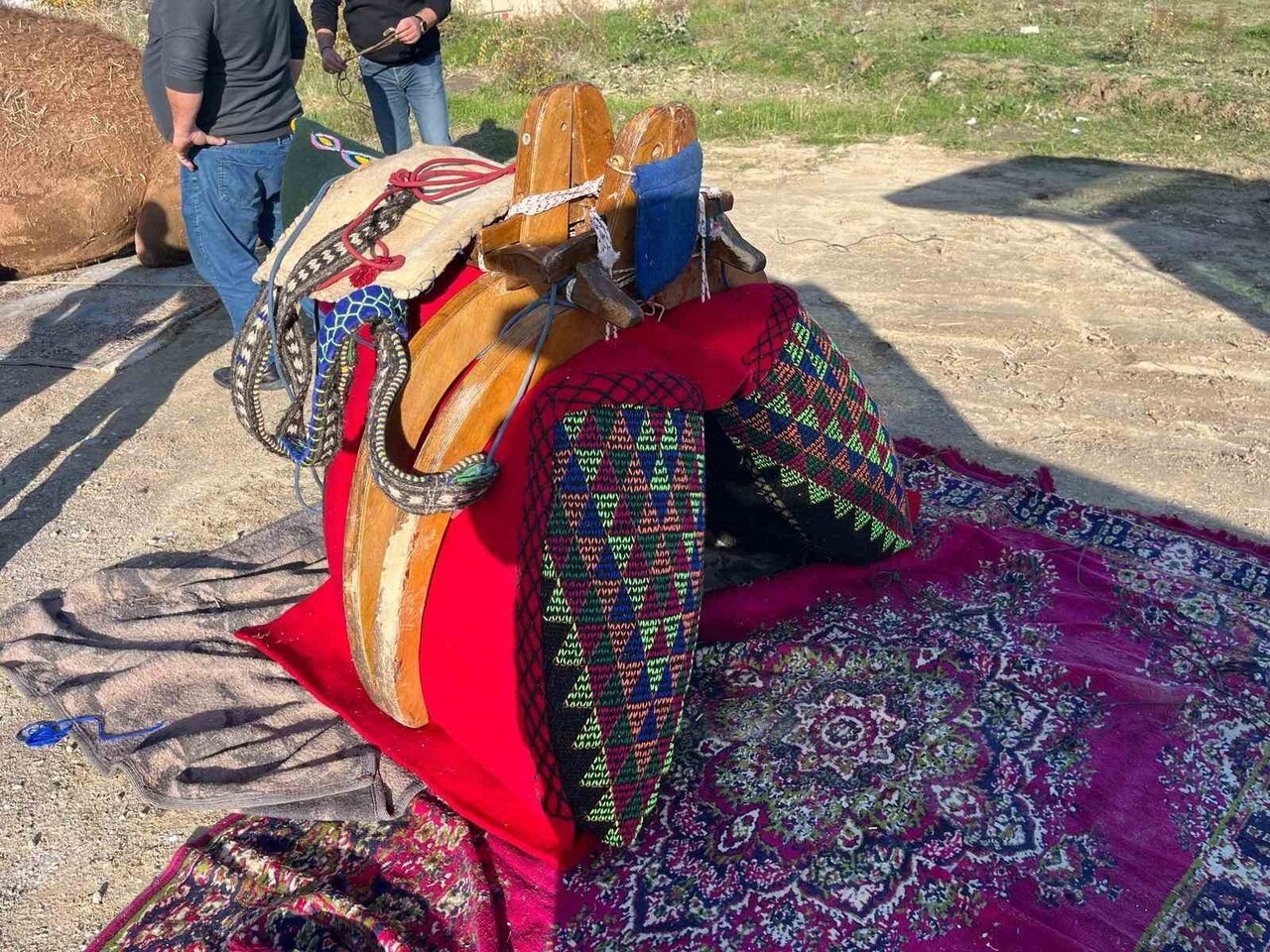 BULDAN’DA DEVE GÜREŞLERİNİN BAŞPEHLİVANLARINDAN İHRAMCI DEVESİ DUALARLA HAVUDUNU KUŞANDI.