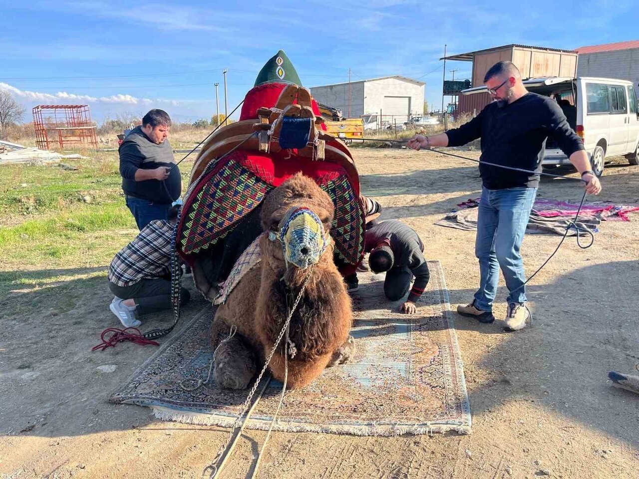 BULDAN’DA DEVE GÜREŞLERİNİN BAŞPEHLİVANLARINDAN İHRAMCI DEVESİ DUALARLA HAVUDUNU KUŞANDI.