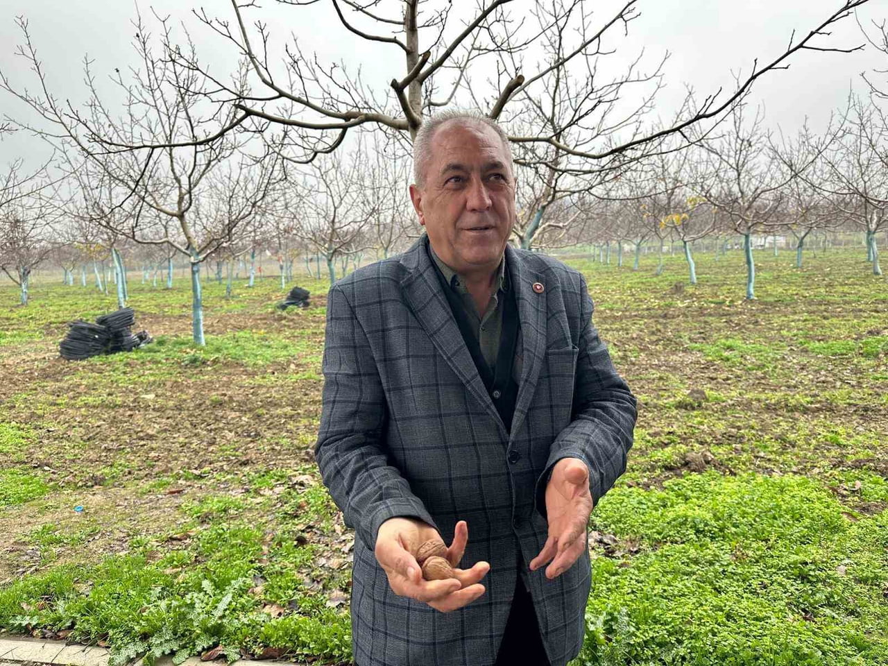 BURSA'NIN İNEGÖL İLÇESİNİN KIRSAL KONURLAR MAHALLESİ'NDE 20 YIL ÖNCE BAŞLAYAN CEVİZ...