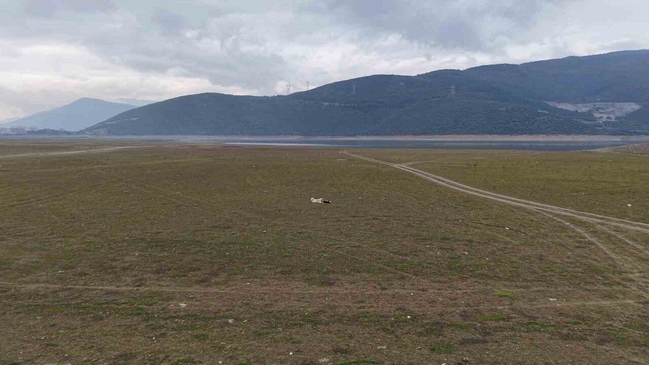 BURSA'NIN ŞEFTALİ, ARMUT, SİYAH İNCİR VE KİRAZ GİBİ ÖNEMLİ TARIM ÜRÜNLERİNİN ÜRETİLDİĞİ TARIM...