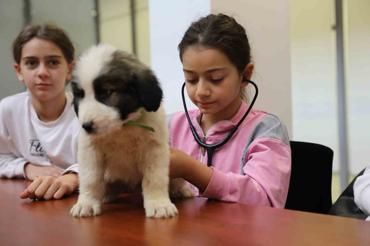 BURSA’DA SOKAK HAYVANLARINA SAHİP ÇIKAN, SAĞLIK HİZMETLERİNDEN YUVALANDIRMAYA KADAR BİRÇOK ALANDA...