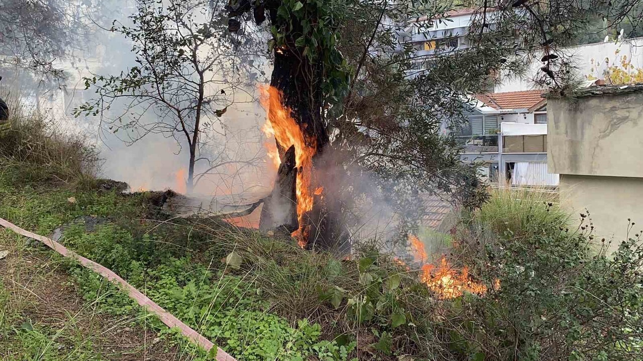 BURSA’NIN MUDANYA İLÇESİ GÜZELYALI BURGAZ MAHALLESİ MERAALTI SOKAK'DA BULUNAN ÇAMLIK ALANDA, BUGÜN...