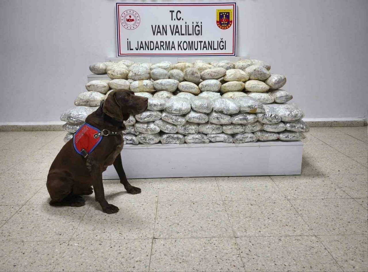 ÇALIŞMALAR SONUCUNDA 60 KİLOGRAM SKUNK MADDESİ ELE GEÇİRİLDİ.