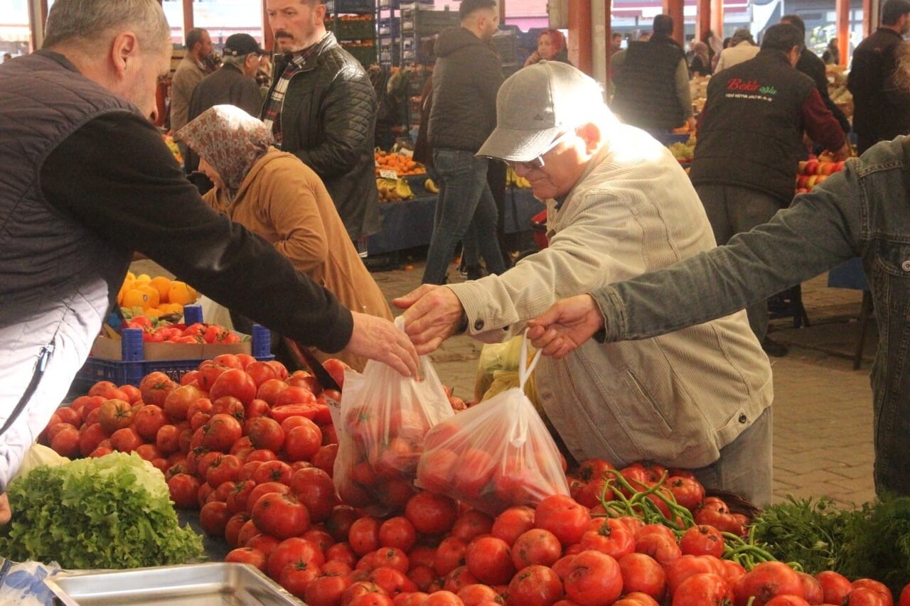 ÇANAKKALE'NİN BAYRAMİÇ, EZİNE VE MERKEZE BAĞLI BATAK OVASINDA YETİŞEN ÜNLÜ ÇANAKKALE DOMATESİ SON...