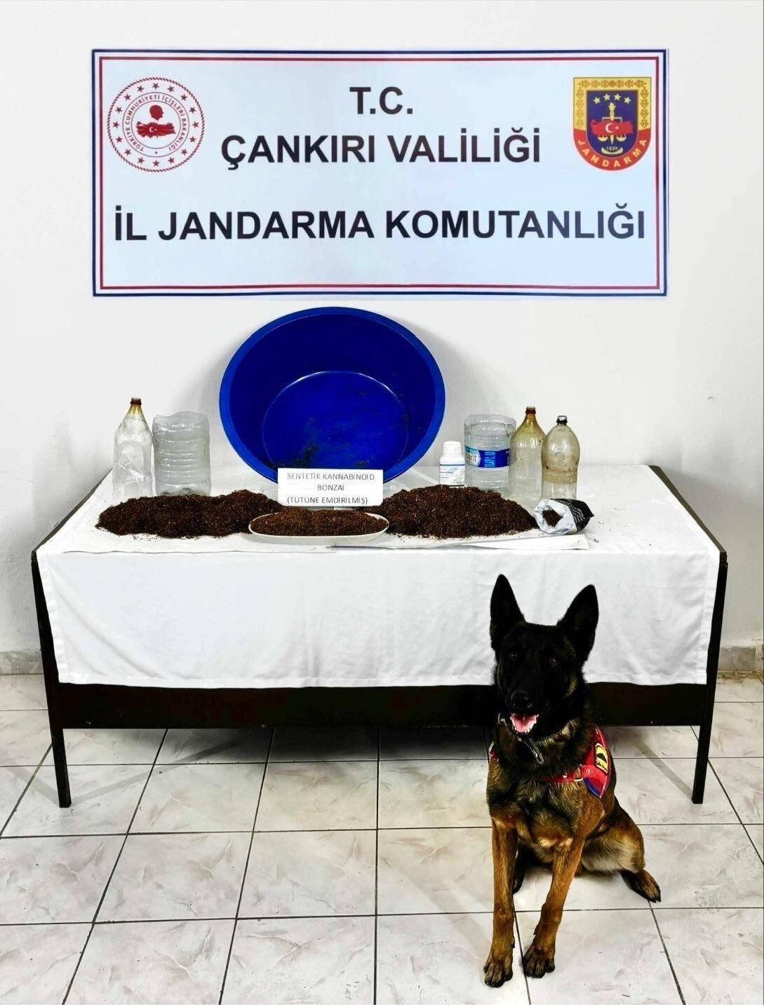ÇANKIRI’DA JANDARMA EKİPLERİNCE YÜRÜTÜLEN TAKİPLİ NARKOTİK FAALİYETLERİ KAPSAMINDA DÜZENLENEN...