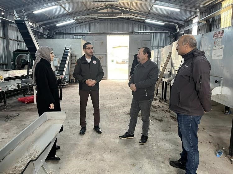 CEVİZİYLE ÖNE ÇIKAN GÖLPAZARI'NDA ÜRETİM ZİNCİRİ GÜÇLENİYOR