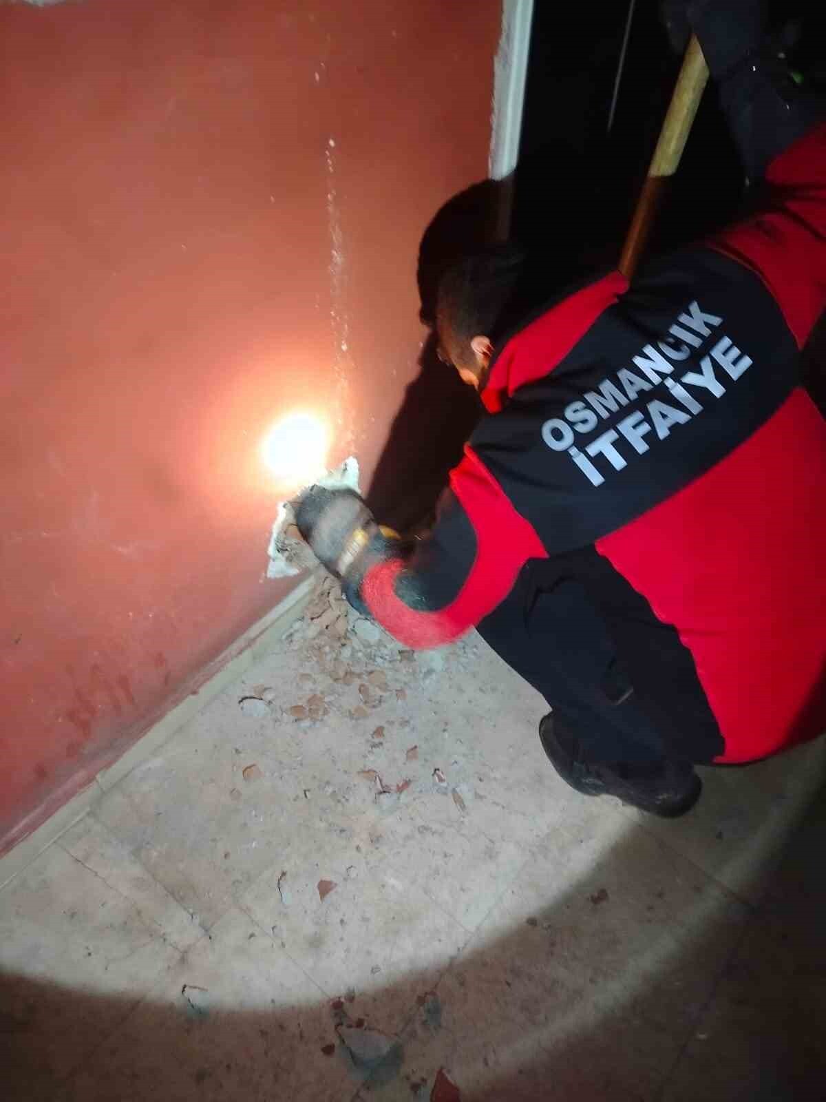 ÇORUM'UN OSMANCIK İLÇESİNDE 5 KATLI APARTMANIN HAVALANDIRMA BOŞLUĞUNA DÜŞEN KEDİ, İTFAİYE...