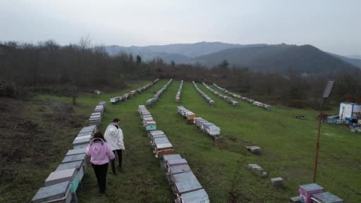 Dededen gelen arıcılığı profesyonelleştirdi, ürettiği bal dünyada zirveye çıktı