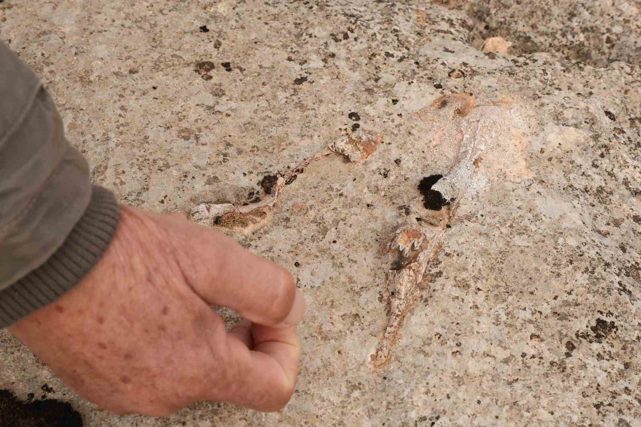 DİYARBAKIR’IN KOCAKÖY İLÇESİNİN ÜZERİNDE OLDUĞU ZEMİNİN TETİS DENİZİ’NİN ZEMİNİ OLDUĞU...