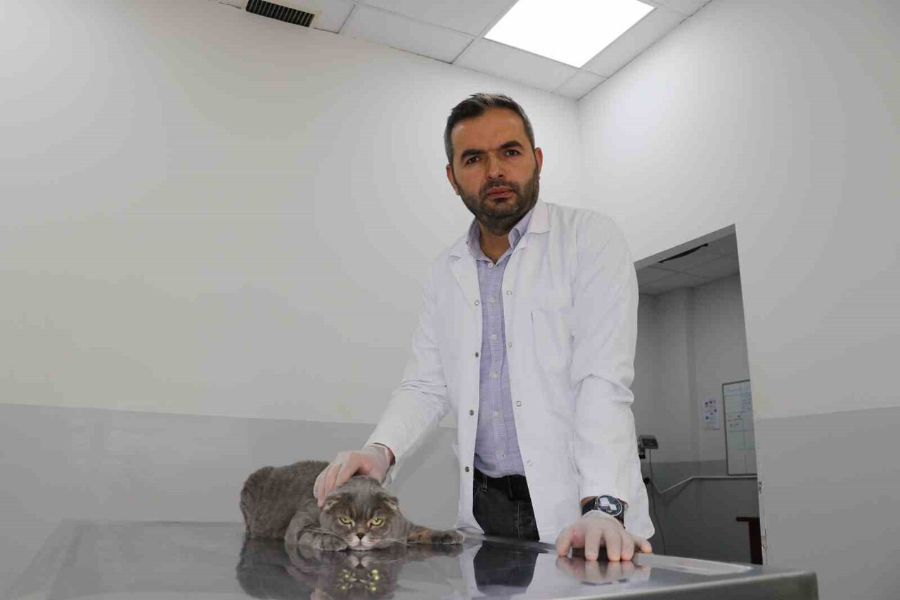 DOÇ. DR. ABDURRAHMAN TAKCI (ARŞİV)