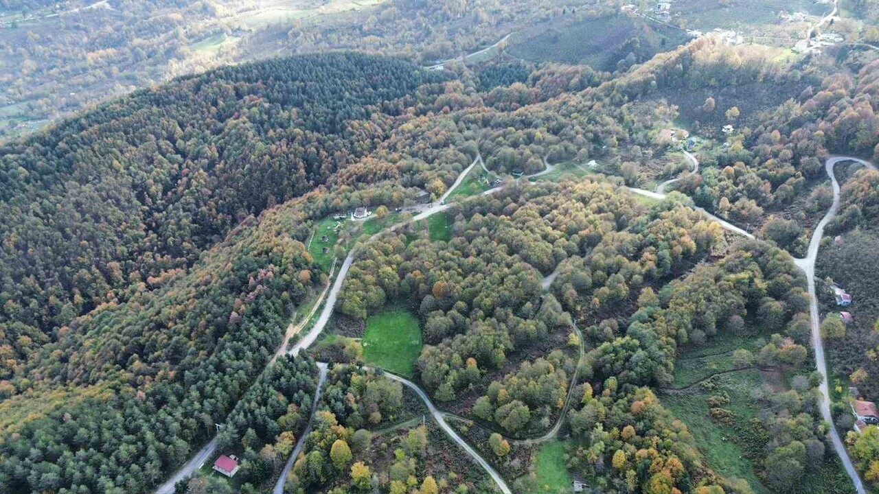 DOĞAL GÜZELLİKLERİ VE ZENGİN BİTKİ ÖRTÜSÜYLE DİKKAT ÇEKEN DÜZCE'DE, SONBAHARIN SON GÜNLERİNDE RENK...