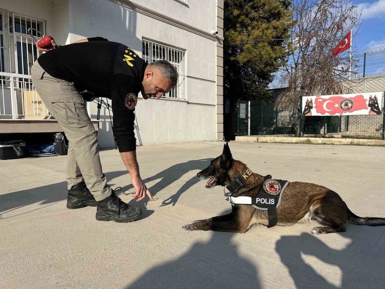 EĞİTİMLERİ BÜYÜK TİTİZLİKLE YAPILAN ‘HASSAS BURUNLU KÖPEKLER' KATILDIKLARI ÇEŞİTLİ OPERASYONLARLA...