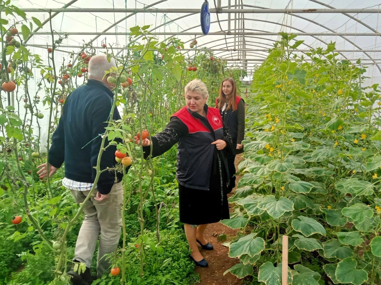 EKİPLER TARAFINDAN, SERALARIN TEKNİK KONTROLLERİ GERÇEKLEŞTİRİLDİ.