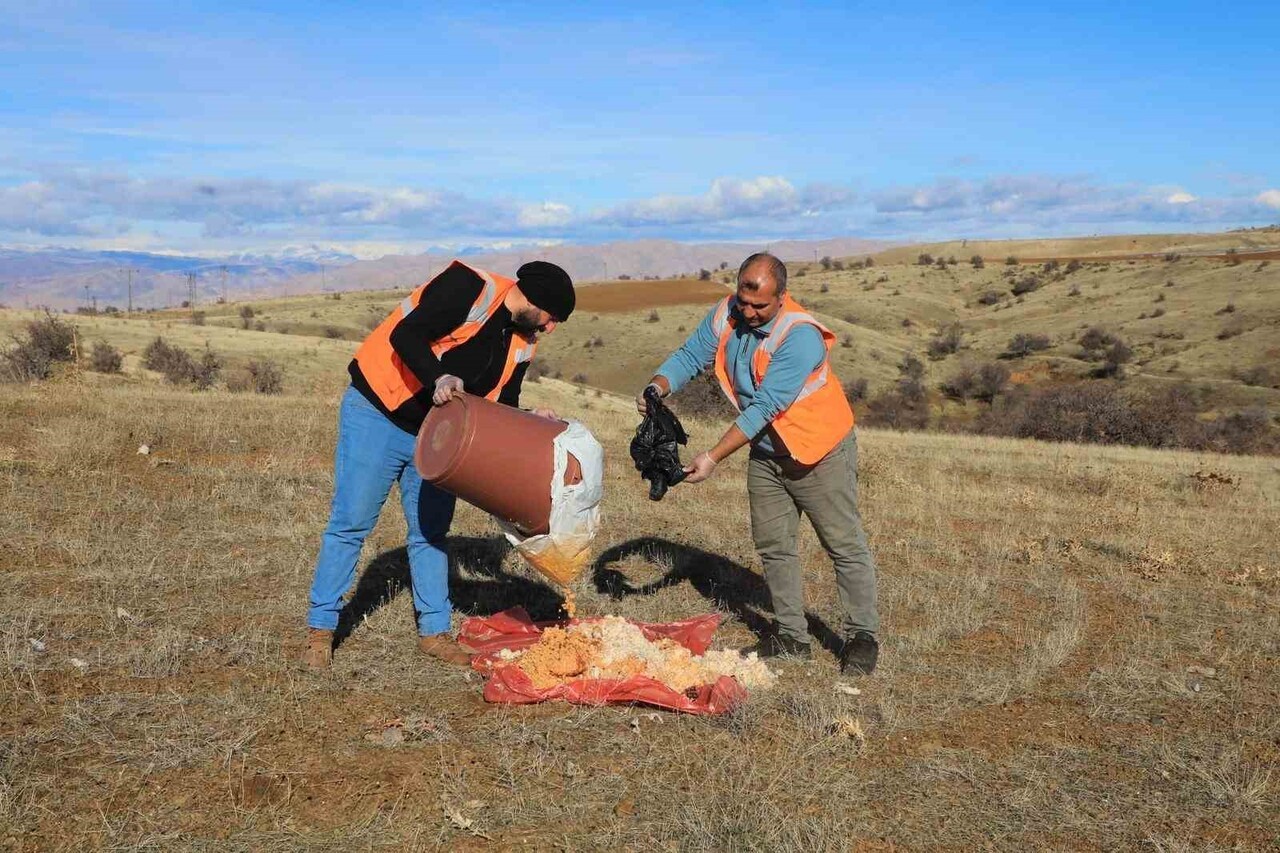 ELAZIĞDA DOĞAYA YEM BIRAKILDI