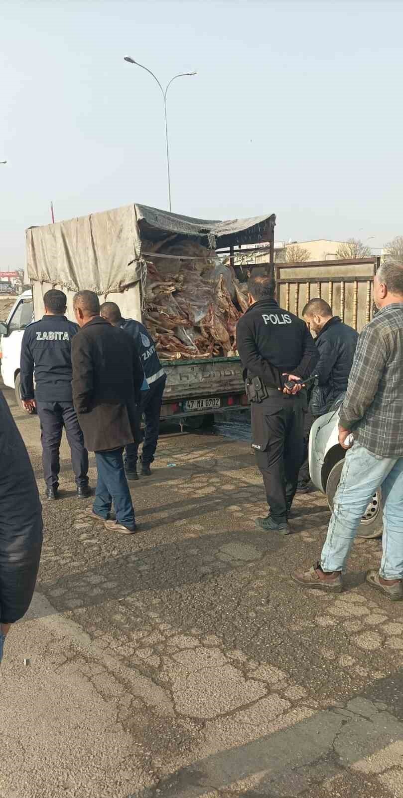 ELE GEÇİRİLEN ETLER BELEDİYE EKİPLERİNCE İMHA EDİLİRKEN, GÖZALTINA ALINAN SÜRÜCÜ ETLERİ ÇÖPE ATMAK...