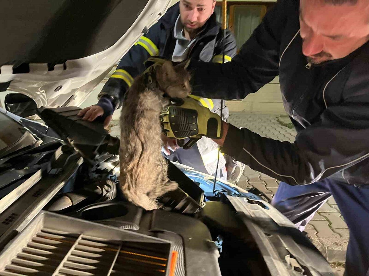 ERZİNCAN'DA ARACIN MOTOR BÖLMESİNE SIKIŞAN KEDİYİ İTFAİYE EKİPLERİ KURTARDI