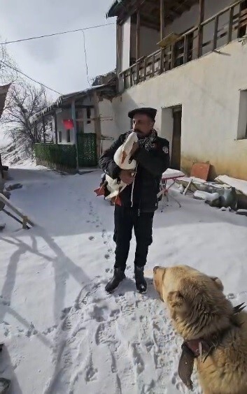 ERZİNCAN’IN REFAHİYE İLÇESİNE BAĞLI KAMBERAĞA KÖYÜNDE HAYVANCILIKLA GEÇİMİNİ SAĞLAYAN BAKİ KAYA...