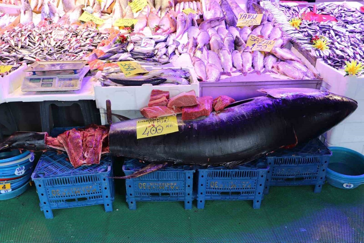 ESKİŞEHİR'DE BALIKÇILIK YAPAN SELAHATTİN ARSLANBENZER, TÜRKİYE'DE SATIŞI ÖZEL İZİNLERE TABİ OLAN...