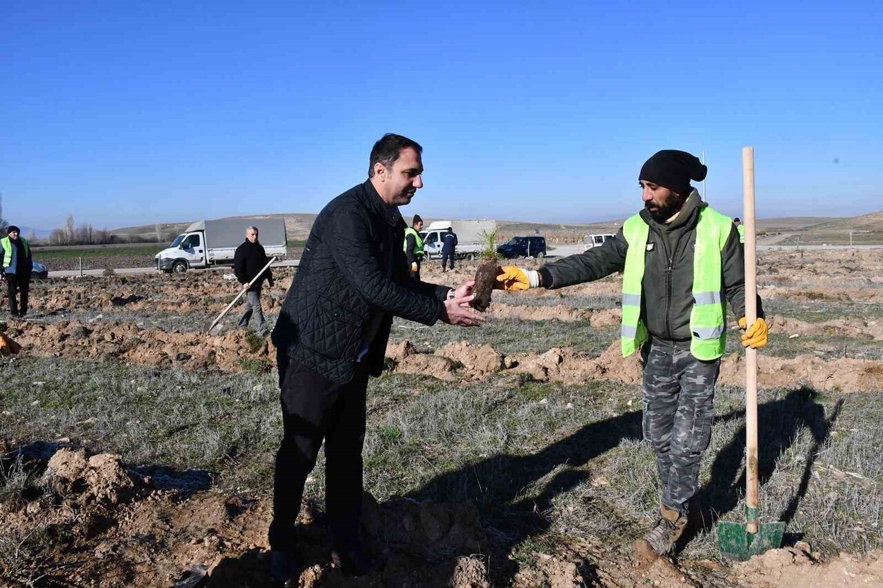 ESKİŞEHİR'DE BEYLİKOVA BELEDİYESİ TARAFINDAN BİN ADET KARAÇAM FİDANI TOPRAKLA...