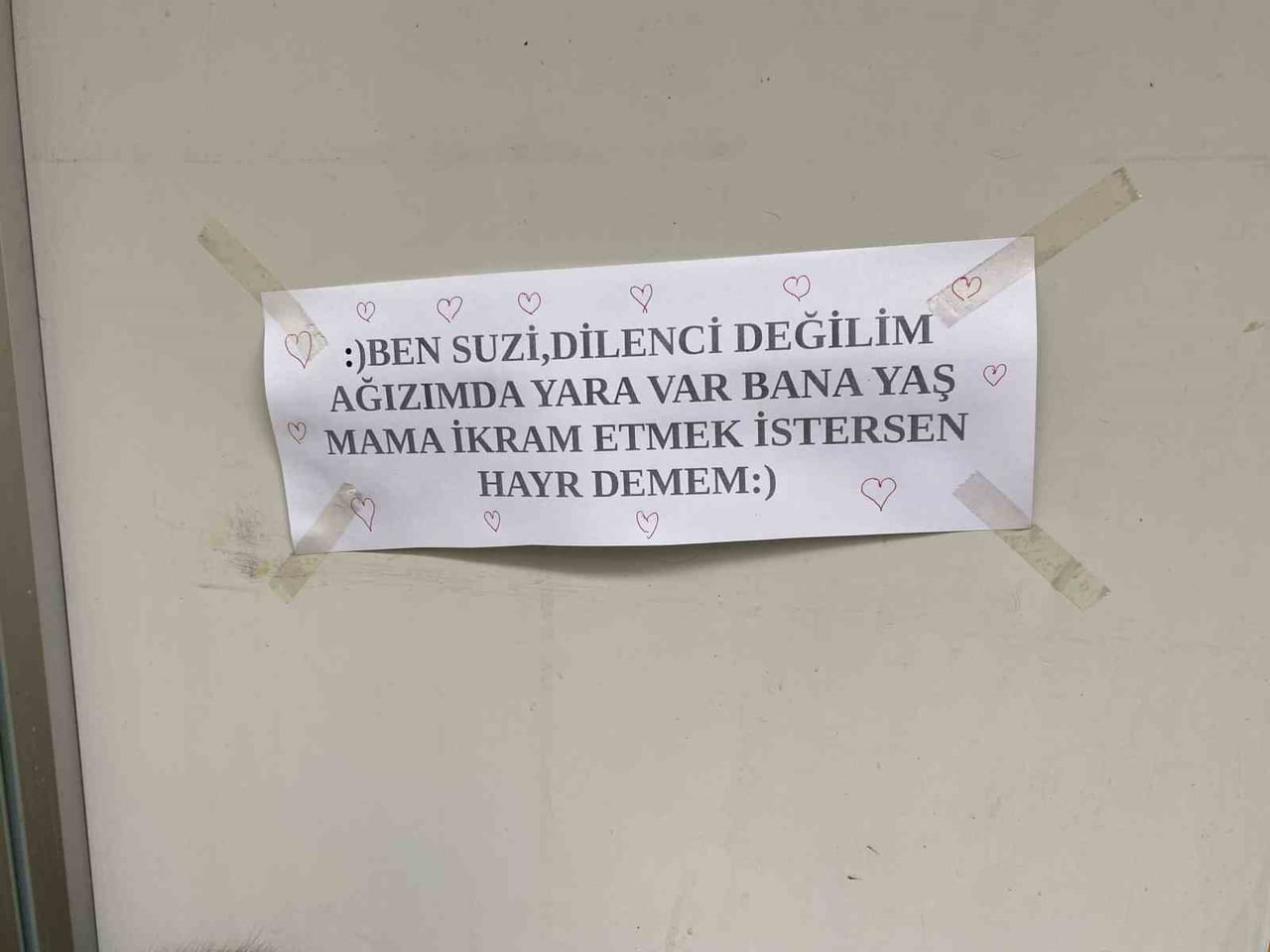 ESKİŞEHİR'DE HAYVANSEVER ESNAFIN İŞLETME ÖNÜNDE BESLEDİKLERİ KEDİ İÇİN ASTIĞI, "BEN SUZİ, DİLENCİ...