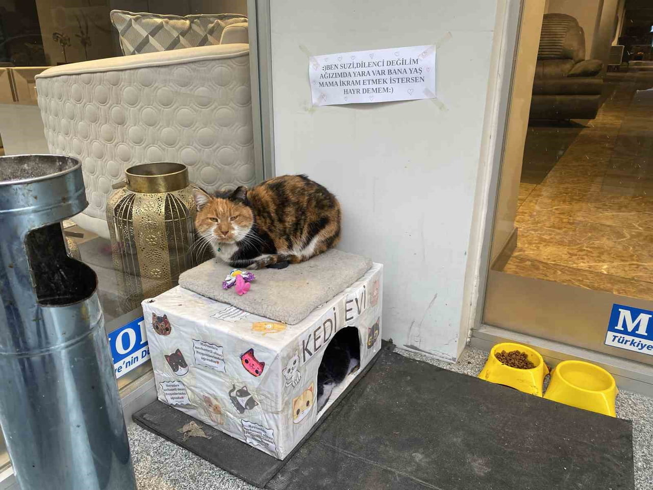 ESKİŞEHİR'DE HAYVANSEVER ESNAFIN İŞLETME ÖNÜNDE BESLEDİKLERİ KEDİ İÇİN ASTIĞI, "BEN SUZİ, DİLENCİ...