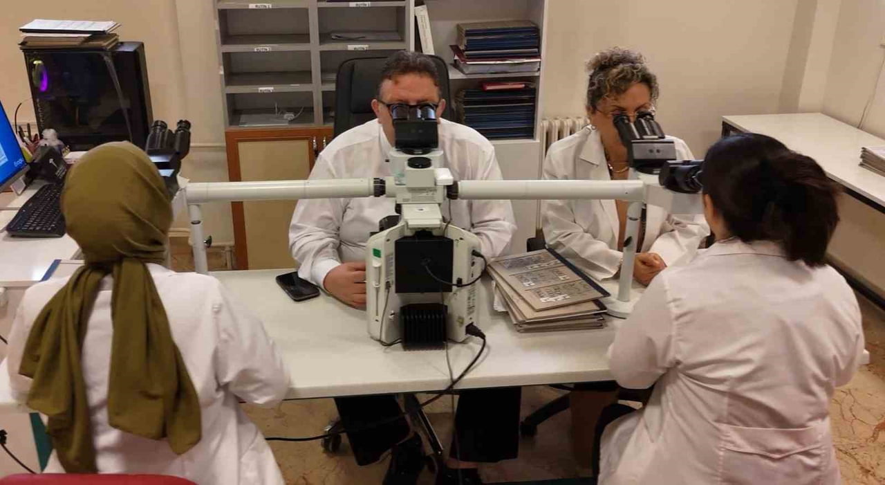 FIRAT ÜNİVERSİTESİ HASTANESİ PATOLOJİ ANABİLİM DALI, 7 ÖĞRETİM ÜYESİ, 10 ASİSTAN VE YAKLAŞIK 17...