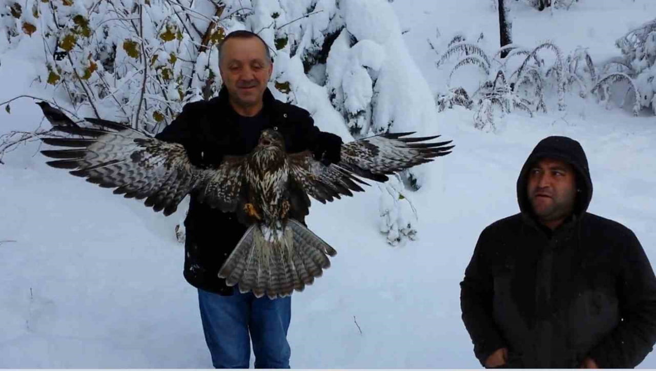 GİRESUN’DA BİR ATMACANIN AVLANMAK ÜZERE YAKALADIĞI KARGAYI, ÇEVREDE BULUNAN VATANDAŞLARIN...