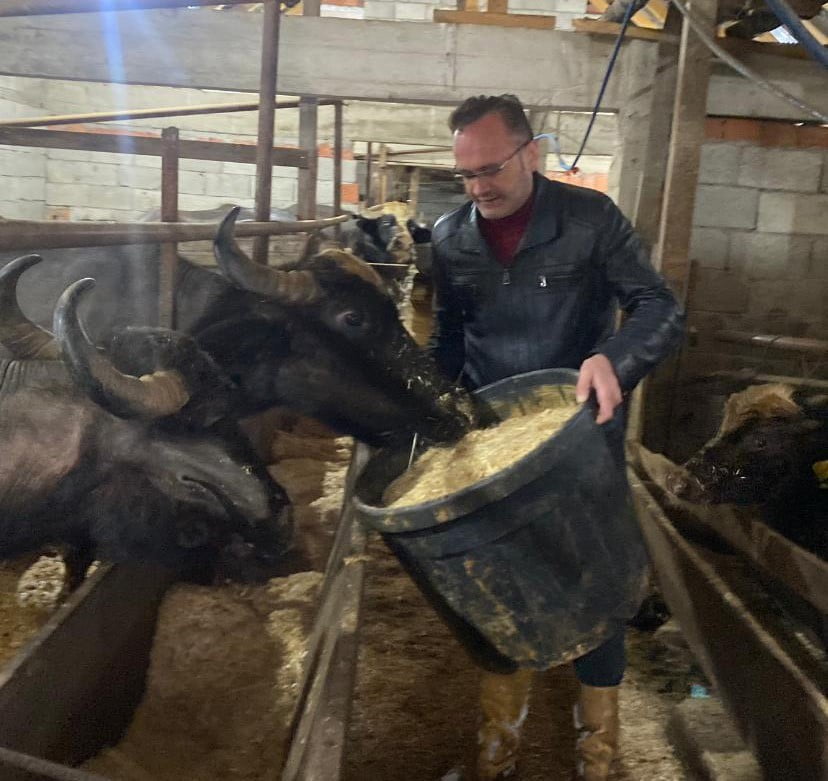 GİRESUN’DA DAMIZLIK MANDA YETİŞTİRİCİLERİ BİRLİĞİ’NE ÜYE 286 İŞLETMEYE TOPLAM 12 MİLYON 305 BİN...