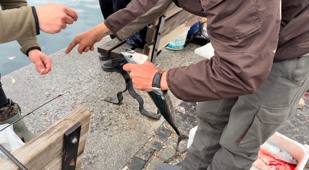 GÜNÜN İLK IŞIKLARIYLA BİRLİKTE OLTALARINI DENİZE ATAN BALIKÇILAR, KISA SÜREDE KOVALARINI...
