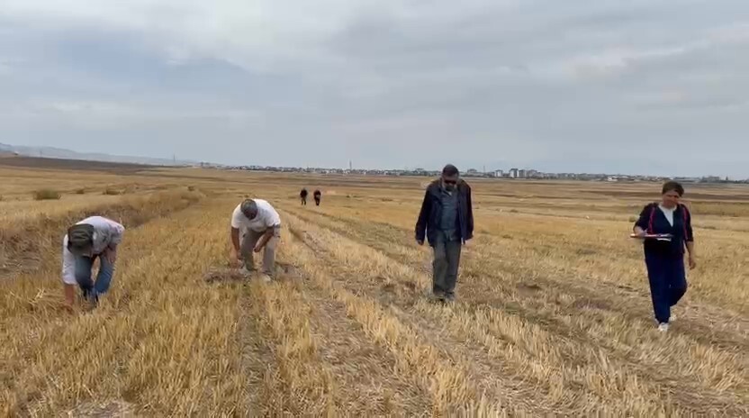 HAÇLI ORDUSUNUN MERZİFON SAVAŞI’NA İLERLERKEN KULLANDIĞI GÜZERGÂH VE BOZGUNA UĞRADIKLARI KALENİN...