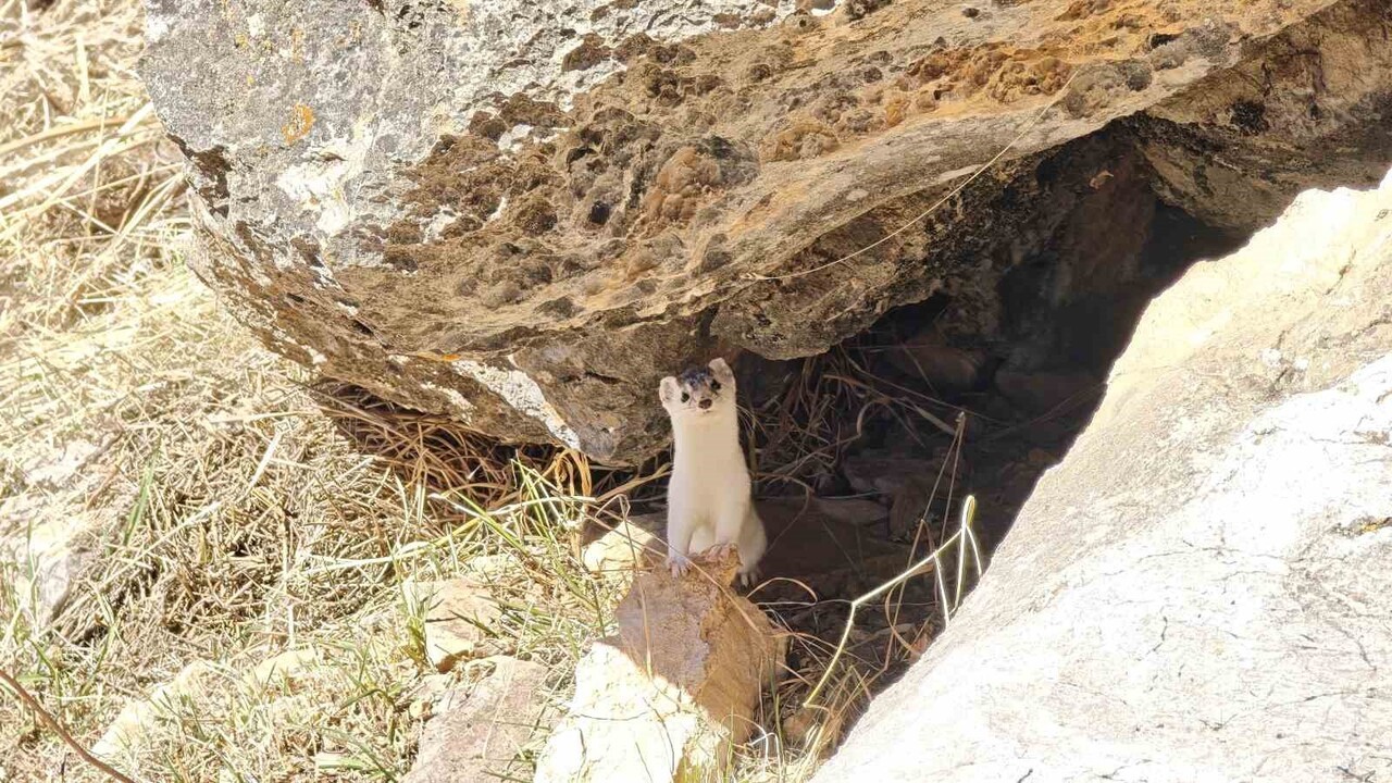HAKKARİ MERKEZ KIRIKDAĞ VADİSİ’NDE, DOĞA VE DAĞ SPORLARI TUTKUNLARI İÇİN UNUTULMAZ BİR GÜN...