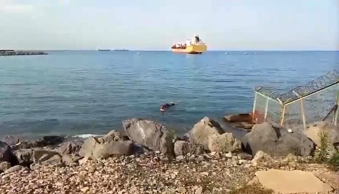 HATAY'IN AKDENİZ AÇIKLARINDA GEMİDEN DENİZE DÜŞEN ANGUS, YÜZEREK KARAYA ULAŞTI.