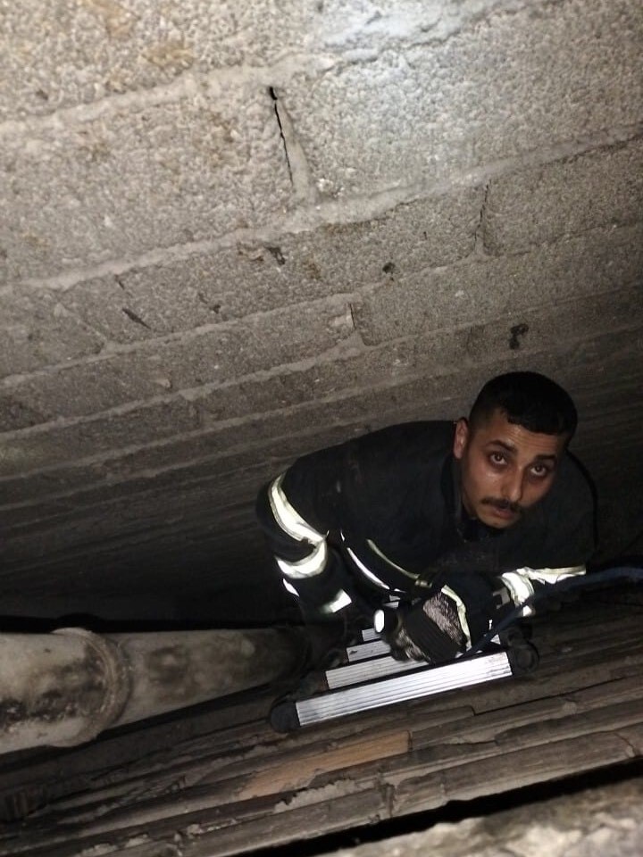 HATAY’DA BİR APARTMANIN BOŞLUĞUNA DÜŞEN YAVRU KEDİ, İTFAİYE EKİPLERİNİN ZORLU OPERASYONUYLA...